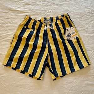 Men’s Vertical Striped Swim Trunks